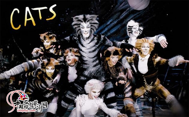 Cats_Musical_Wallpaper_1920x_by_ArtificialAnimation